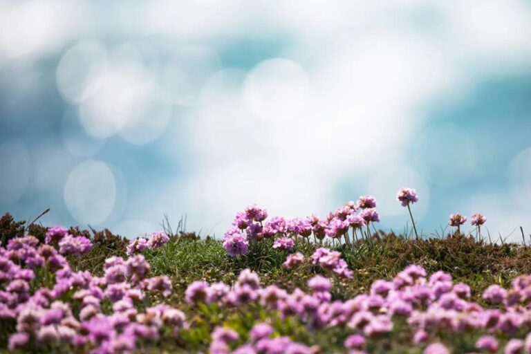 Osho – 在一個非常平凡的生活當中過著不凡的生活