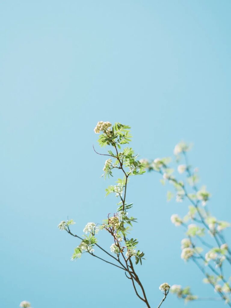 消融痛苦之身 8