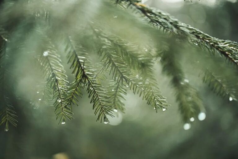接納當下 1