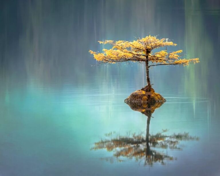 慧海禪師 – 達即遍境是 不悟永乖疏