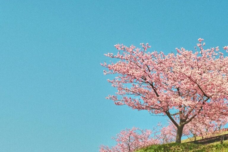 接納與臣服