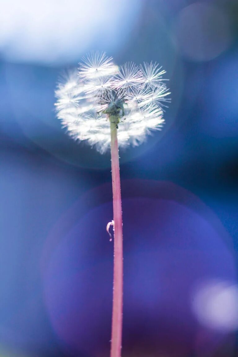 當下是進入靈性維度的鑰匙