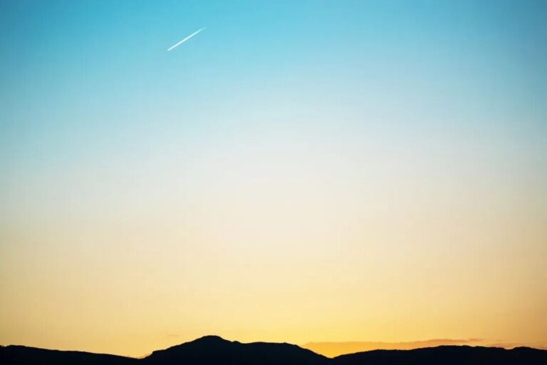 萊斯特 – 我的本質