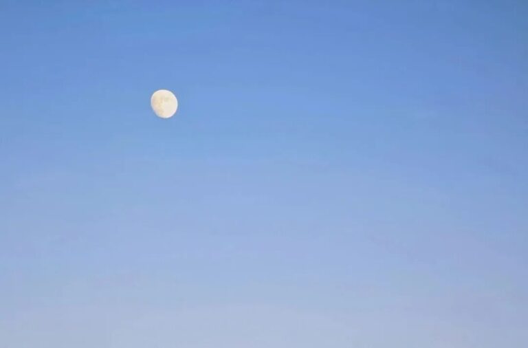 我們的意識狀態創造了我們的世界