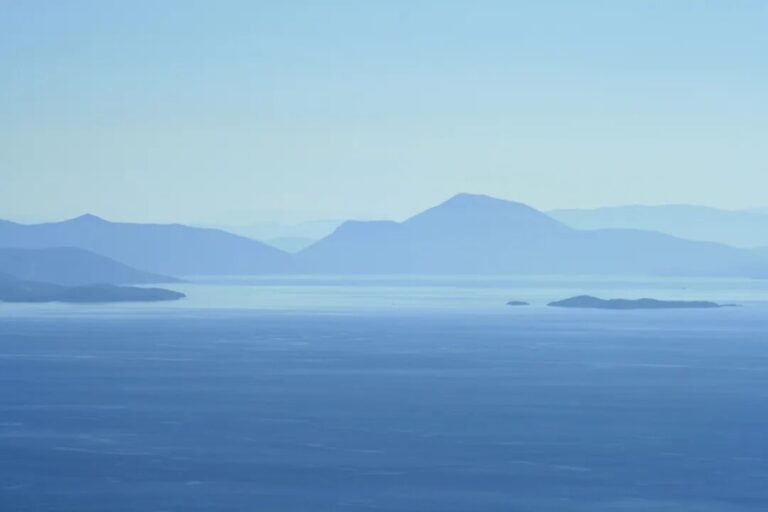 打破了行動和反應的業力循環