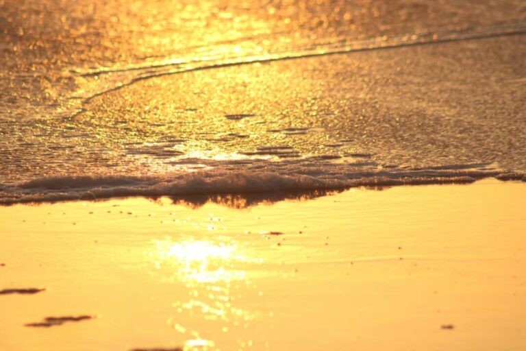 將它的光帶入這個世界