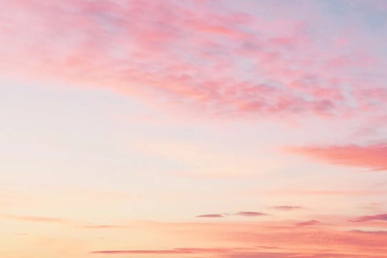 薩娜婭 – 愛超越你自己