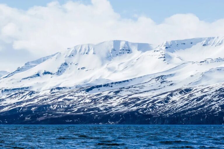 我們為什麼會對思考上癮呢？