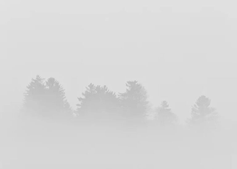 世界只是一個反映