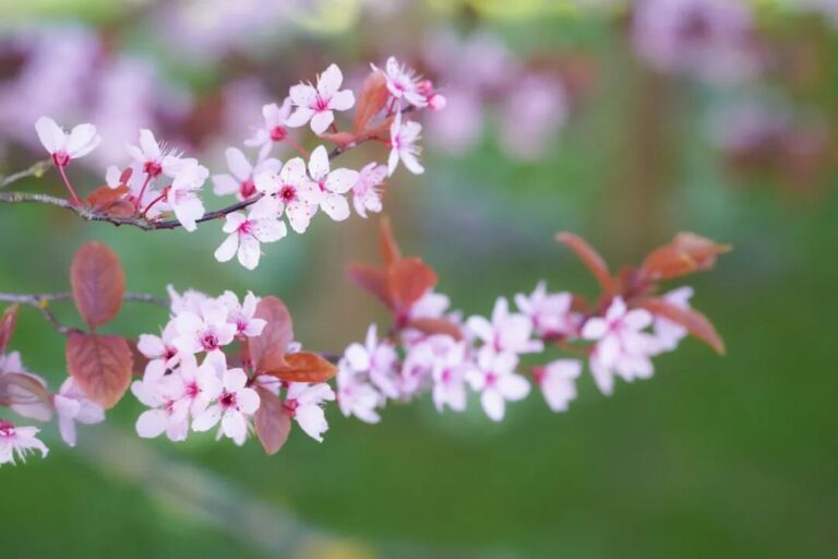 你是否在等待開始真正活著