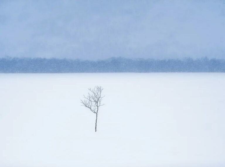 無住不是住空，而是不執於一切