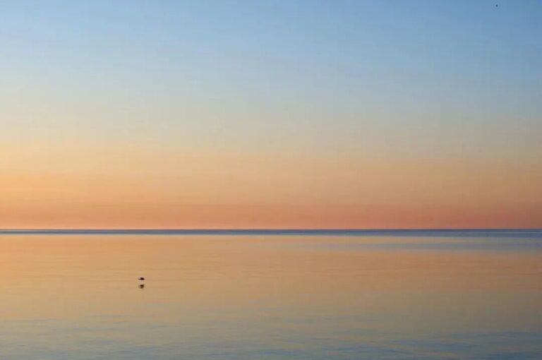 萊斯特 – 快速開悟的方法