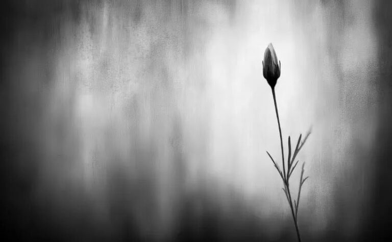 一切終歸無常，不必刻意去放下任何