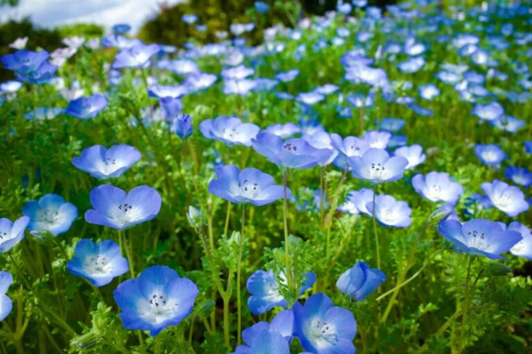 只要你的頭腦還佔據著你全部的注意力