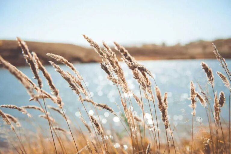 新意識正在地球站穩腳跟