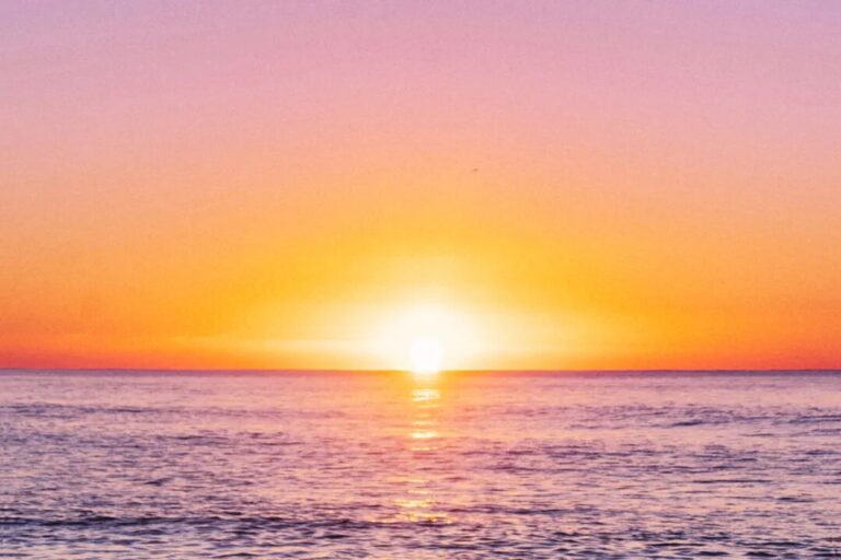 薩娜婭 – 擁抱新事物