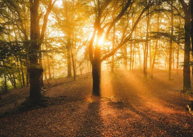 成為這過程中有意識的參與者