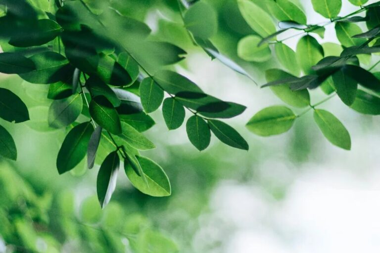 發現你真正的 本質的 堅不可摧